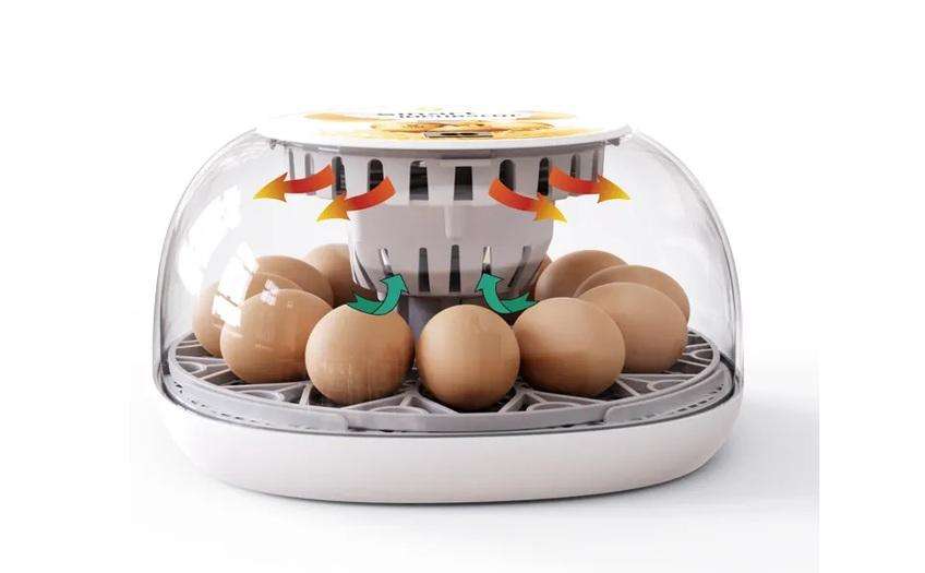 12 Egg Incubator Transparent