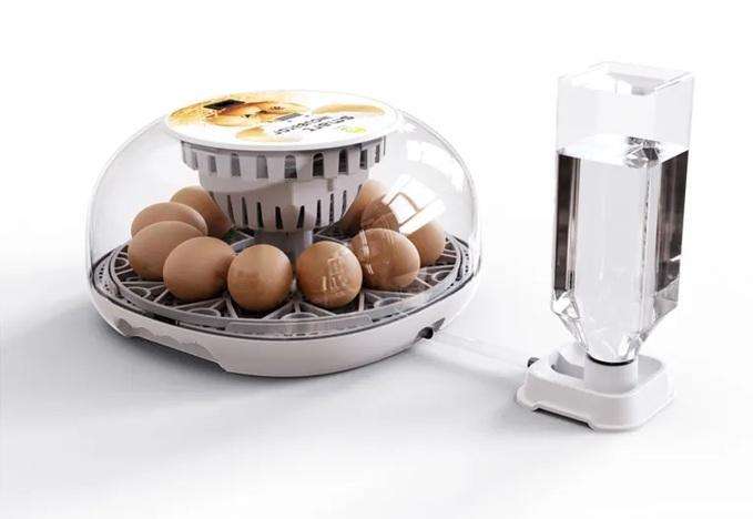 12 Egg Incubator Transparent