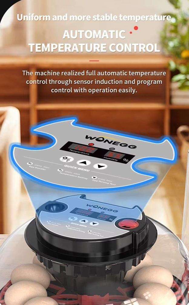 Smart 12 Egg Incubator