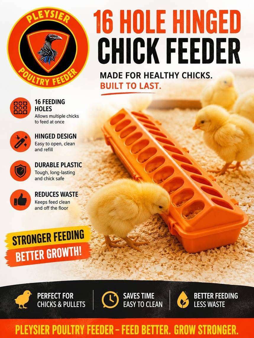 Pleysier 16 Hole Orange Chick Hinged Feeder -Pack of 5