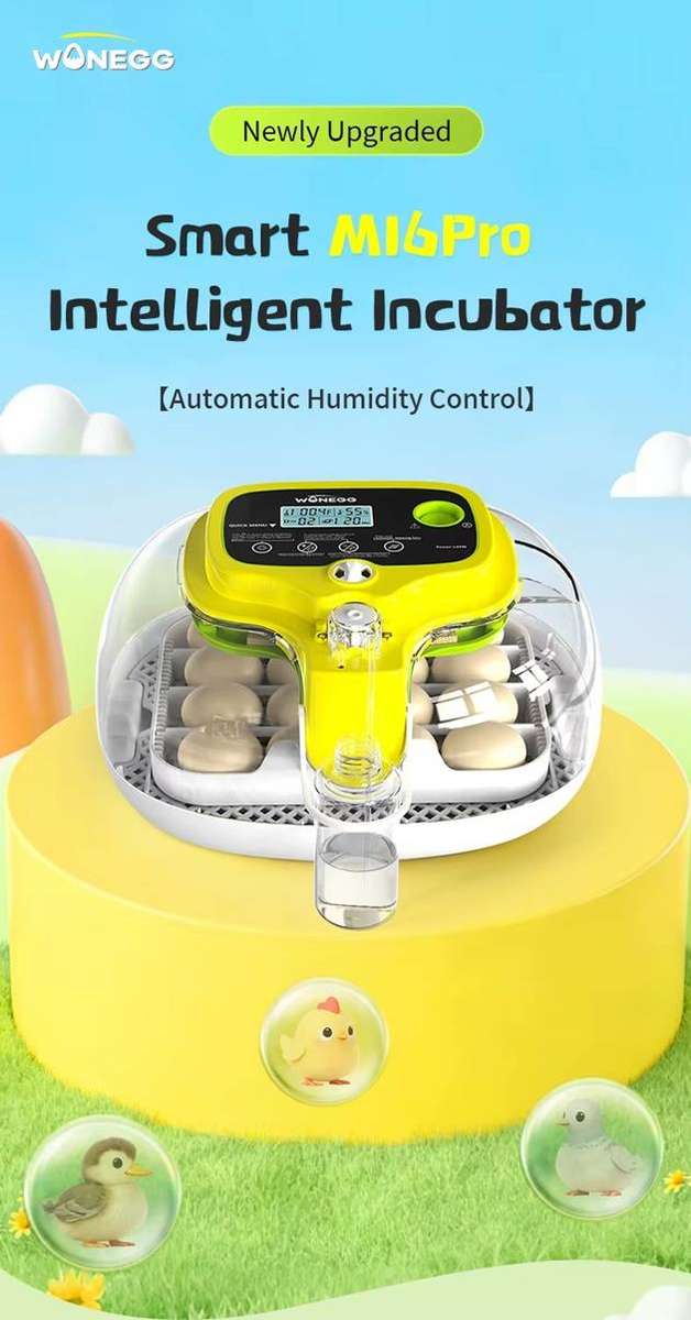 Pro-Automatic Smart Yellow Wonegg 16 Egg Incubator