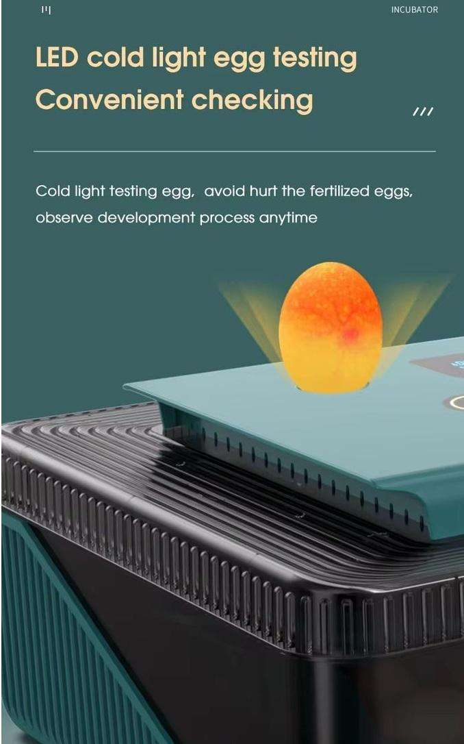 25 Egg Incubator -Green