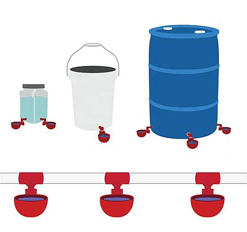 Pleysier Chicken Waterer Cups for PVC Pipe with Tee Fittings -Pack of 5