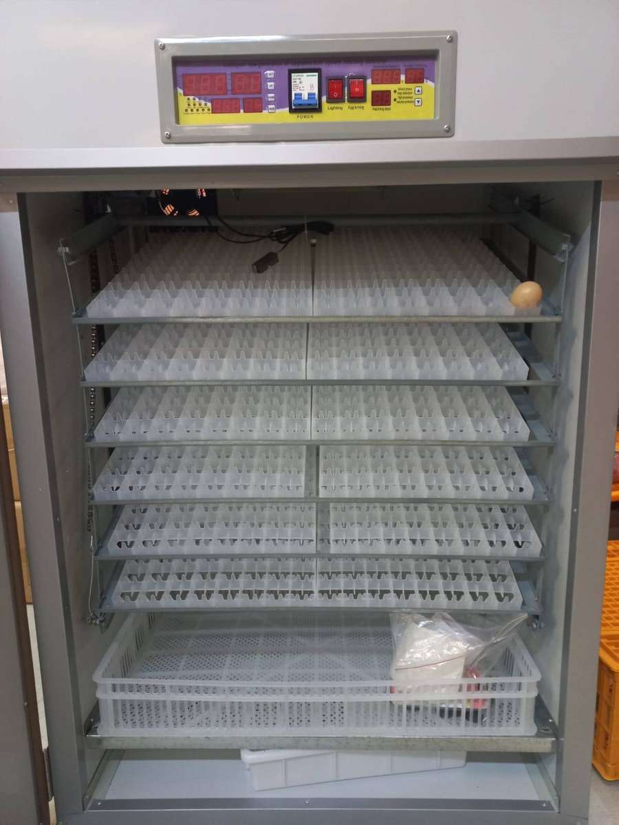 Automatic 1056 Egg Incubator White Series