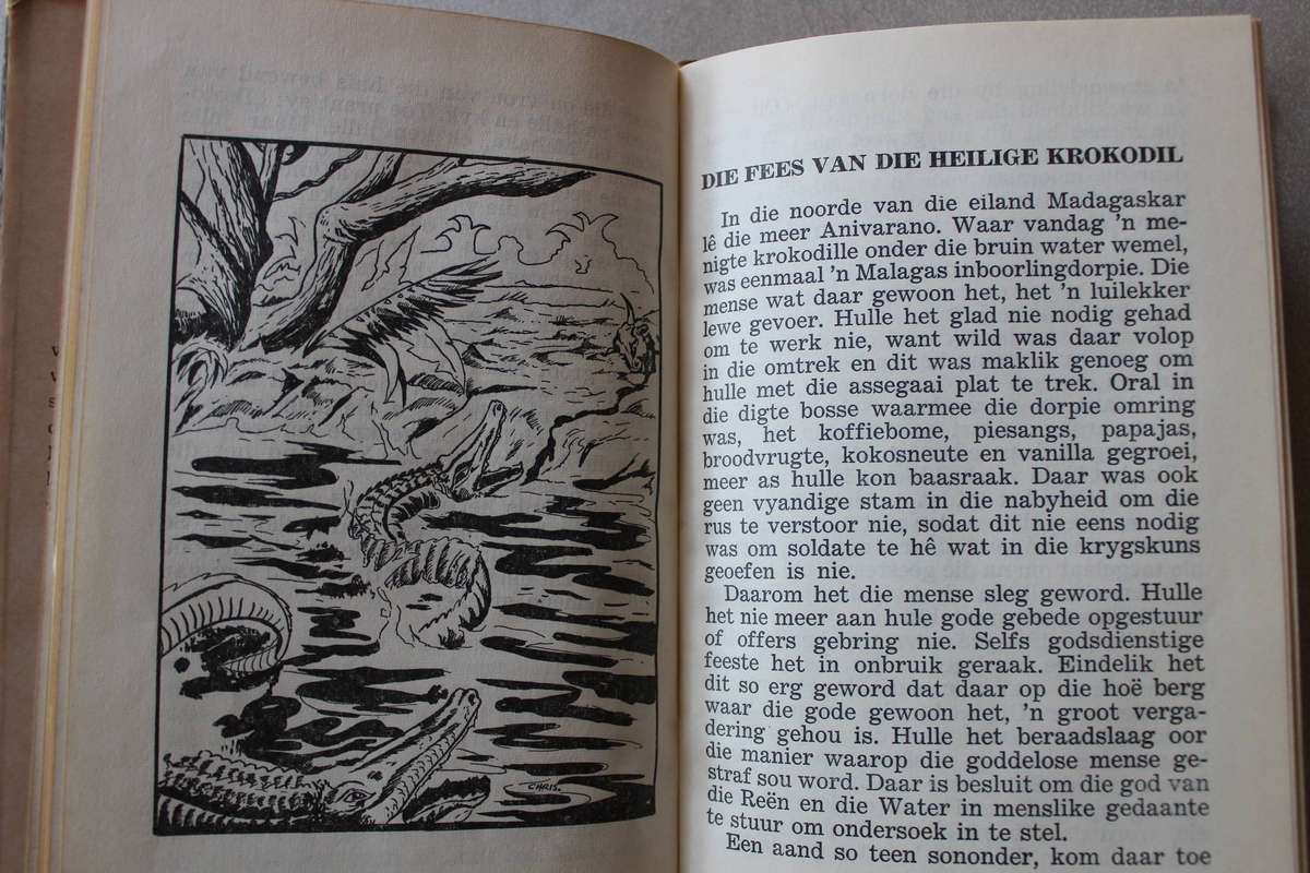 Madagaskar Stories - Anne De Ville