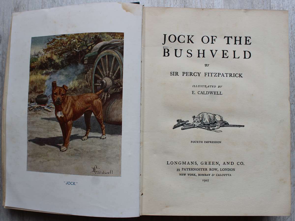 JOCK OF THE BUSHVELD by Percy Fitzpatrick 4th impression (1907) WITH ALL THE INCORRECT DUNG BEETLES
