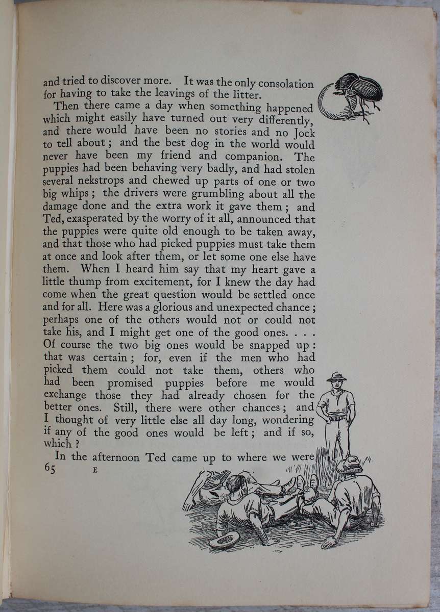 JOCK OF THE BUSHVELD by Percy Fitzpatrick 4th impression (1907) WITH ALL THE INCORRECT DUNG BEETLES