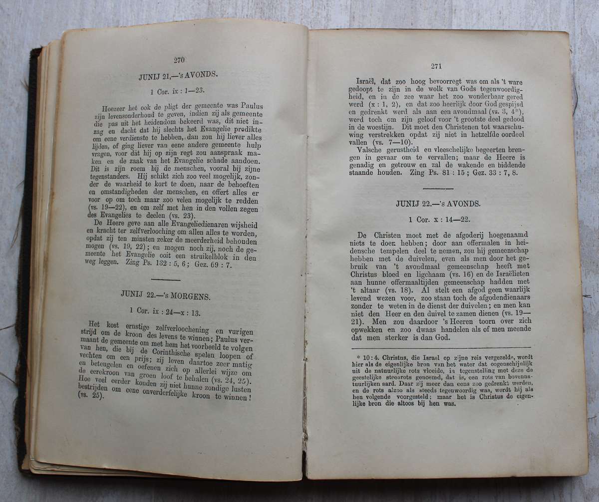 1880 Bijbelsch Dagboek - Du Toit / Paarl
