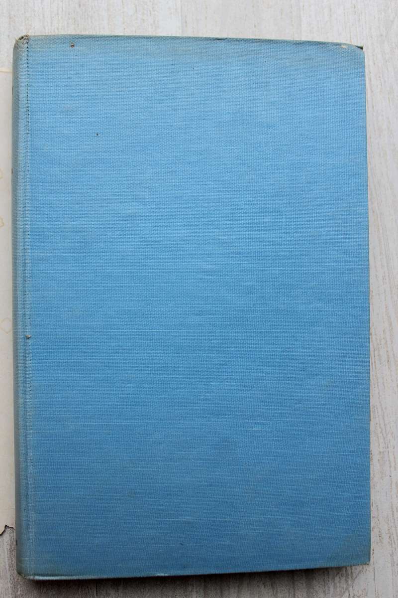 The Sunny Land - Margreta Oldevig