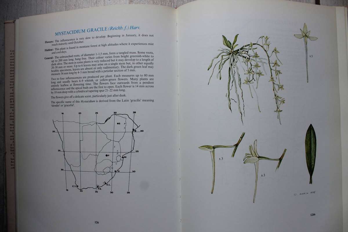Southern African Epiphytic Orchids / John Ball
