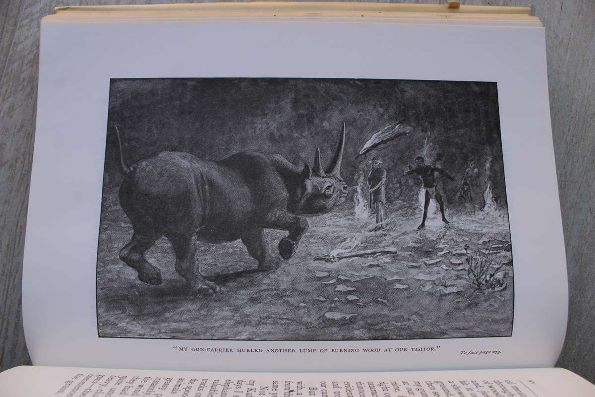 African Nature Notes and Reminiscences - Selous