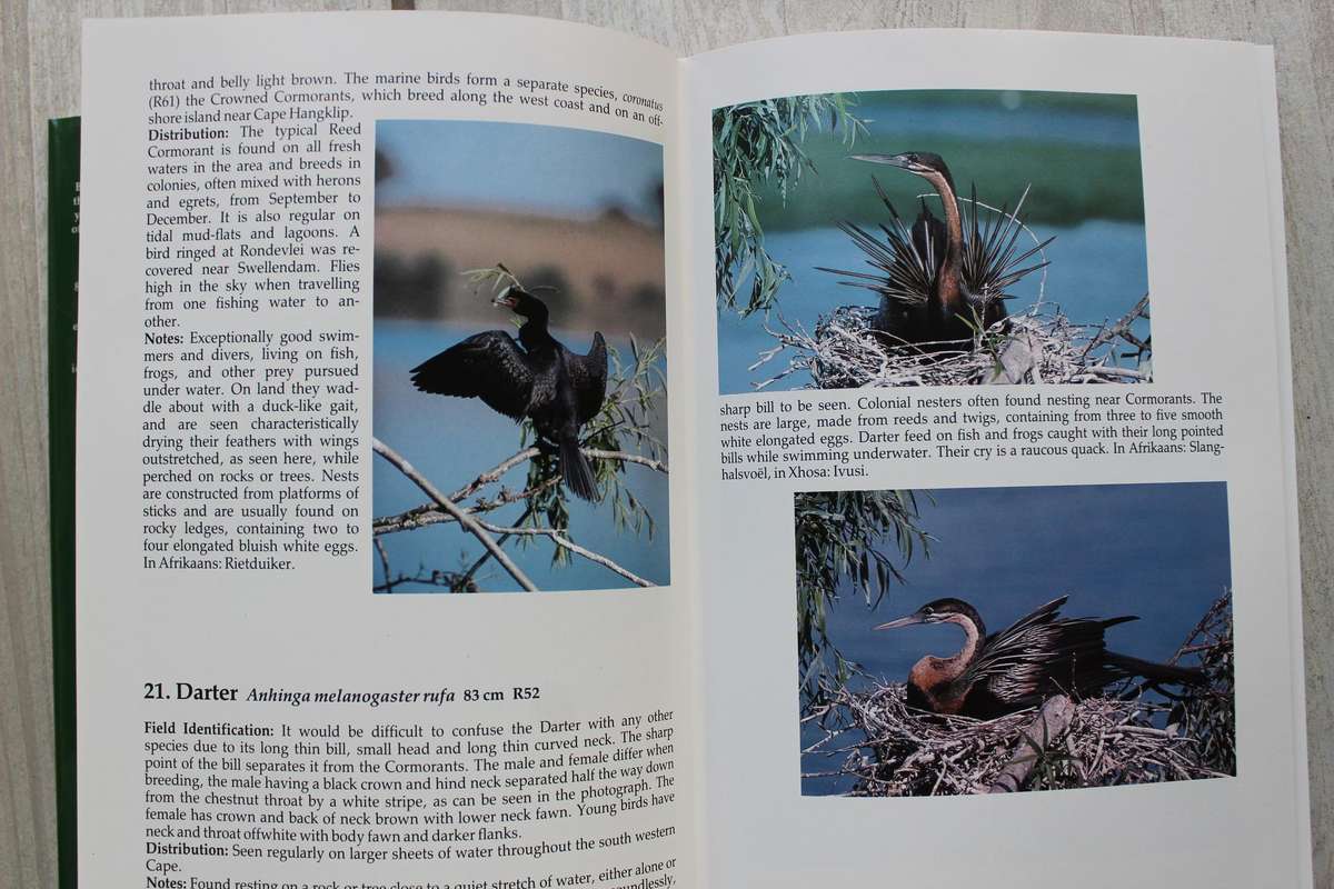 Birds of the South Western Cape - Joy Frandsen