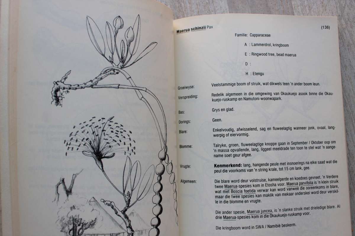 BOME EN STRUIKE VAN DIE NASIONALE ETOSHA WILDTUIN - CORNELIA BERRY