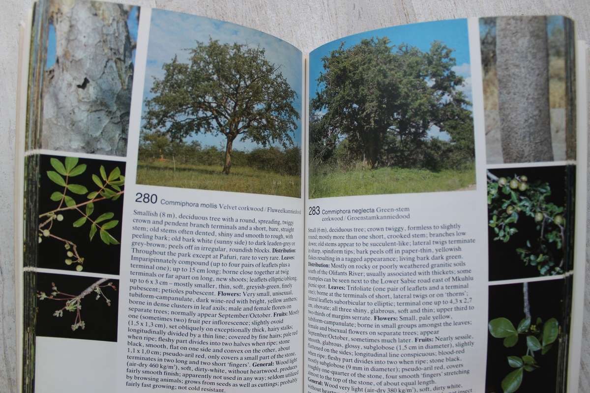 Piet Van Wyk`s Field Guide to the Trees of the Kruger National Park