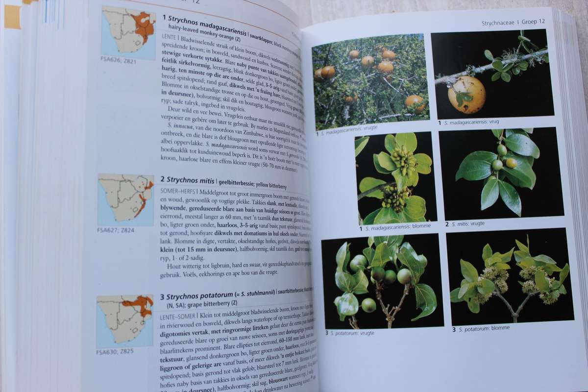 Veldgids tot bome van Suider-Afrika - VAN WYK