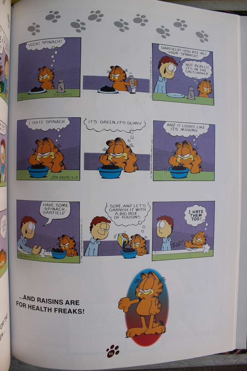 Two large Garfield Annuals