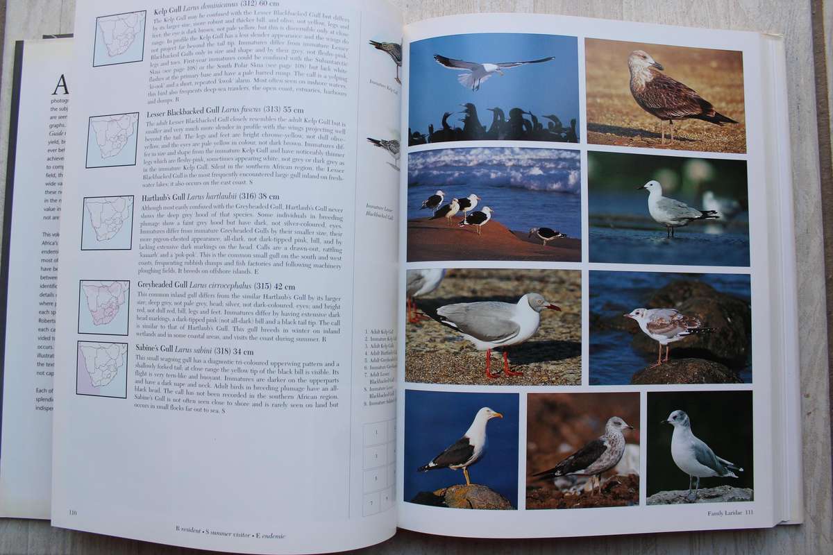 Southern African Birds ~ A Photographic Guide by Ian Sinclair & Ian Davidson