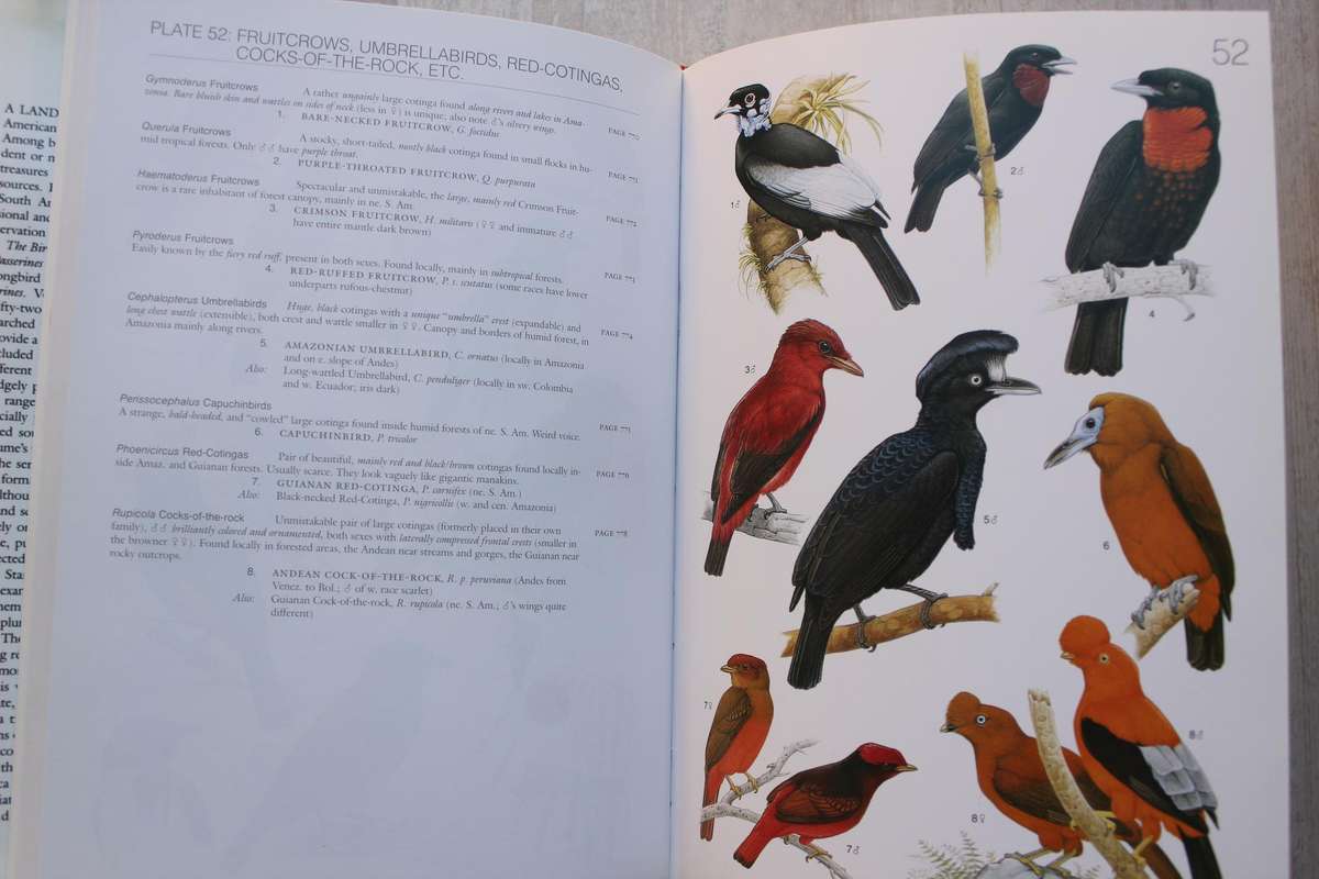 The Birds of South America - 2 volumes / Ridgely & Tudor