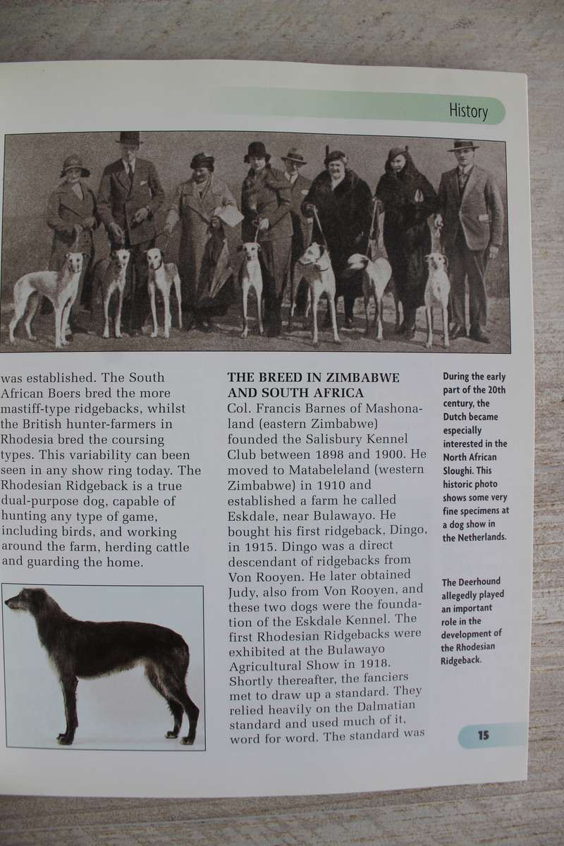 Rhodesian Ridgebacks - completerly illustrated with colour photographs