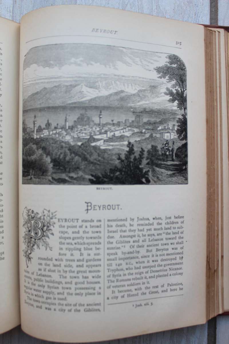 Palestine Past and Present. Pictorial and descriptive / Valentine
