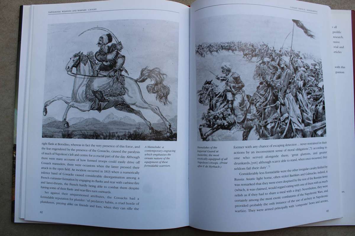 Napoleonic Cavalry: Napoleonic Weapons and Warfare / Haythornthwaite