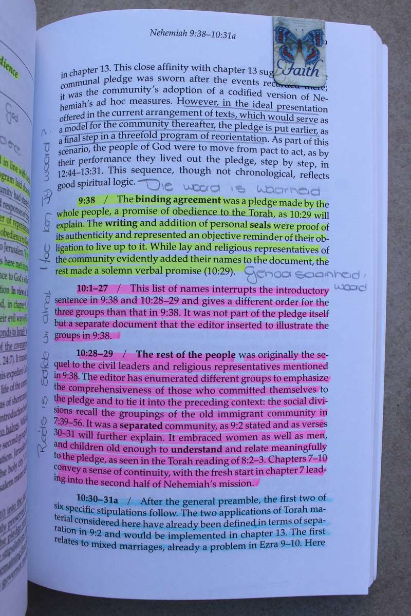 Ezra, Esther, Nehemiah - Understanding the Bible Commentary Series