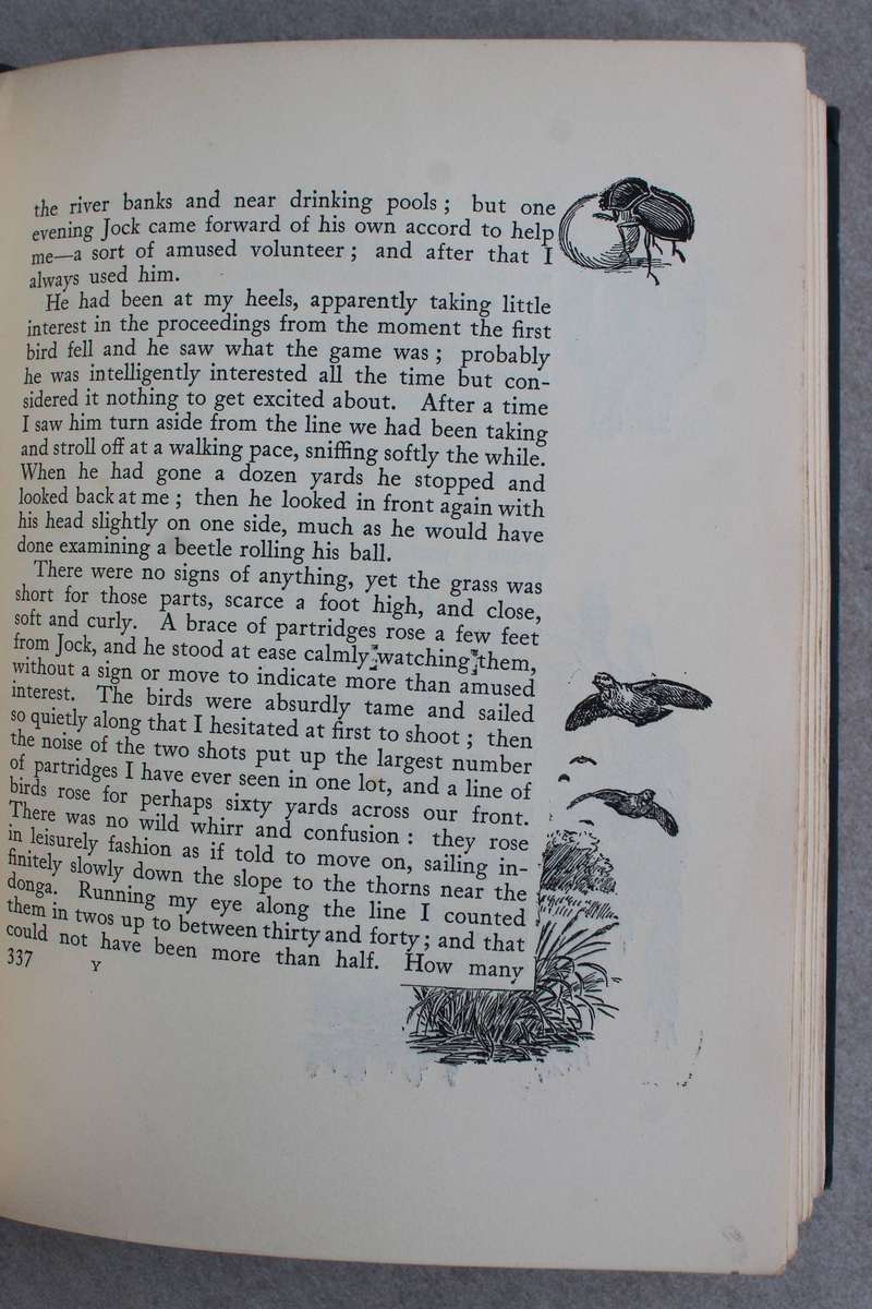 JOCK OF THE BUSHVELD by Percy Fitzpatrick 3rd. impression (1907) WITH ALL THE INCORRECT DUNG BEETLES