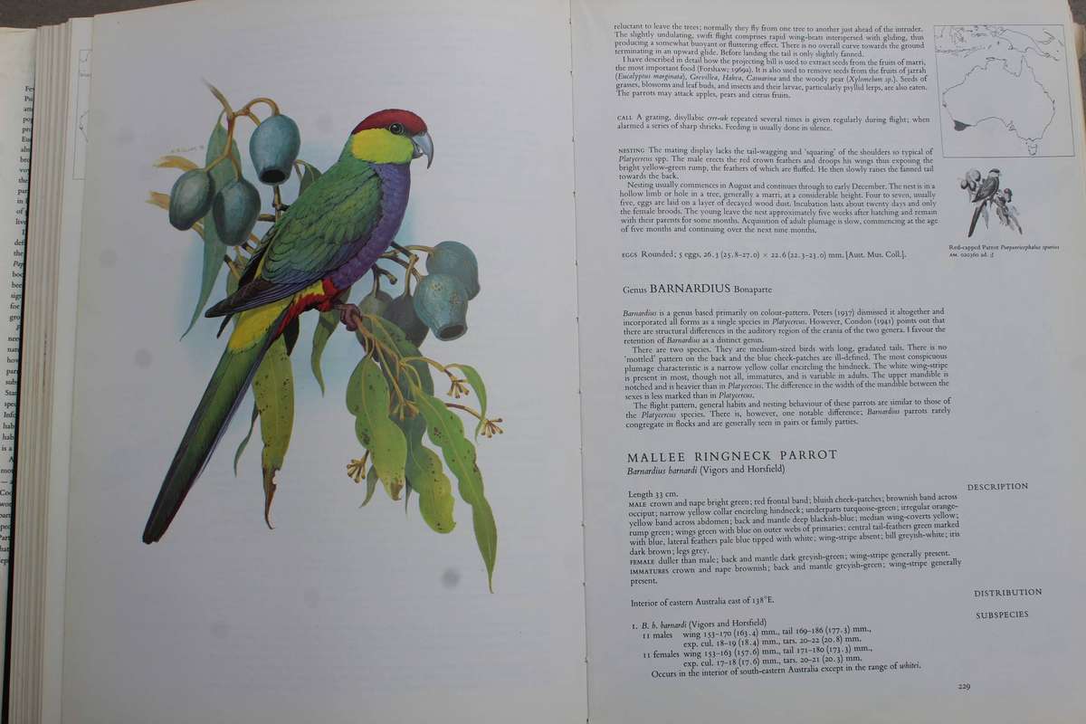 Parrots of the World  - Forshaw, Joseph