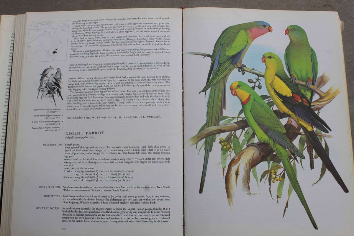 Parrots of the World  - Forshaw, Joseph