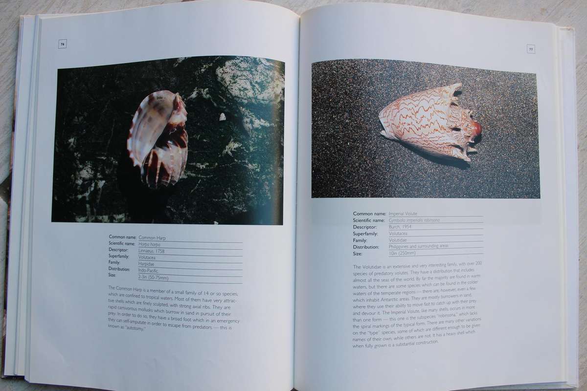 The World of Seashells , a fully illustrated guide / Patrick Hook