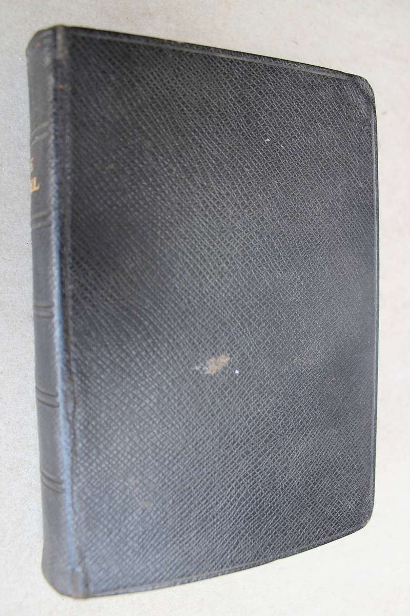 7 x Bybel / Bible / Bibel