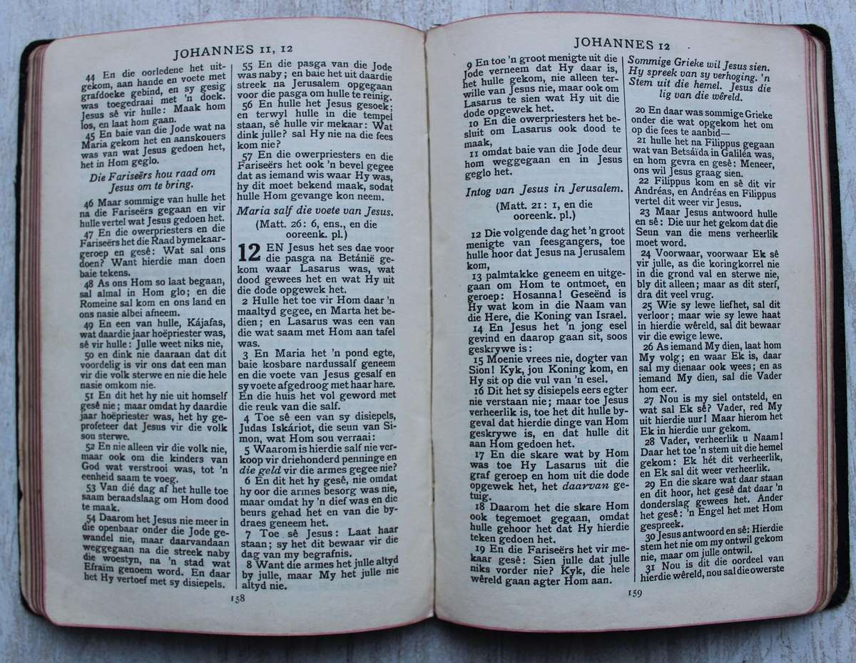 1929 eerste gedeeltelike Bybel in Afrikaans voor die 1933 uitgawe / Die vier Evangelies en Psalms