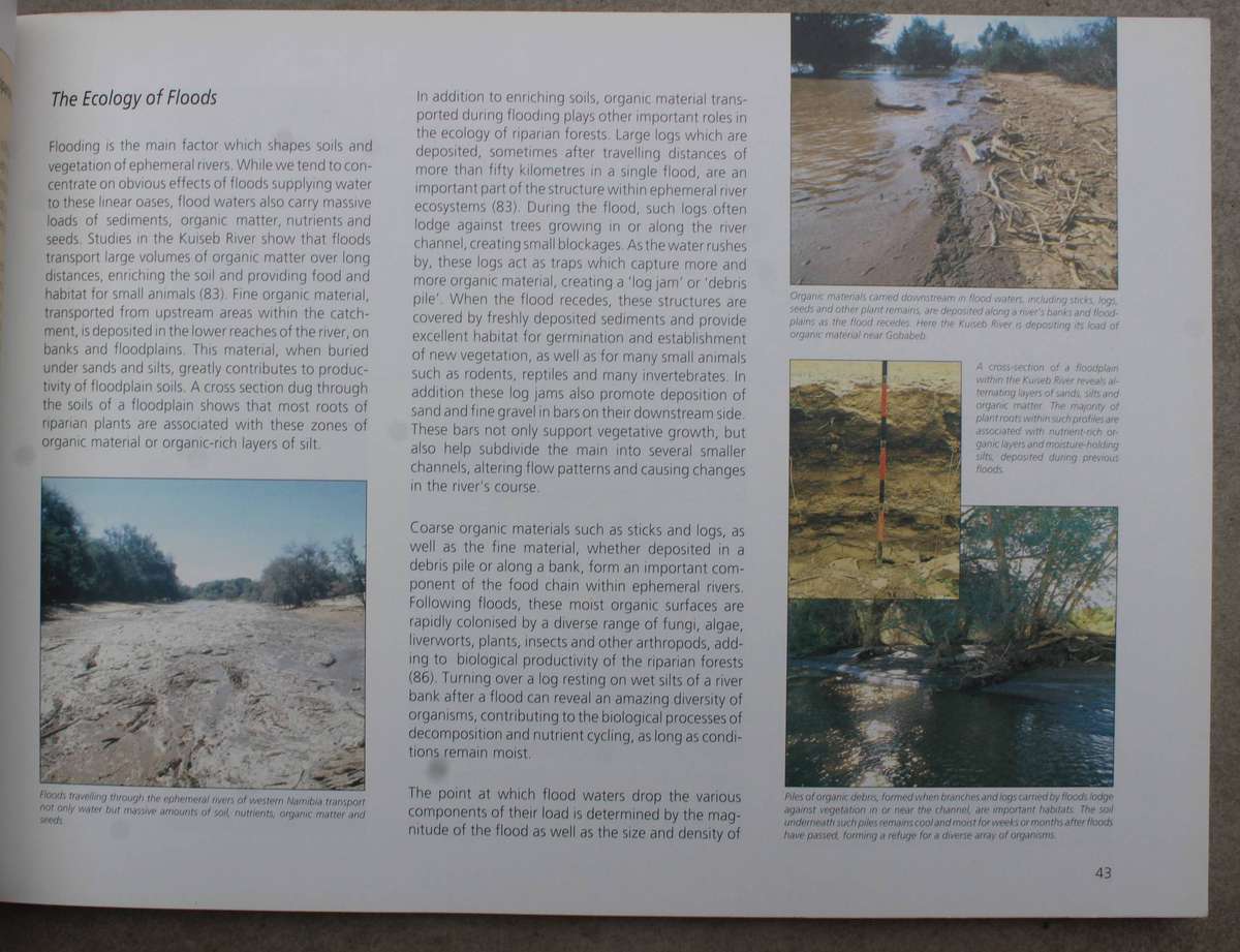 Ephemeral Rivers and their Catchments - PJ Jacobson, KM Jacobson, MK Seely