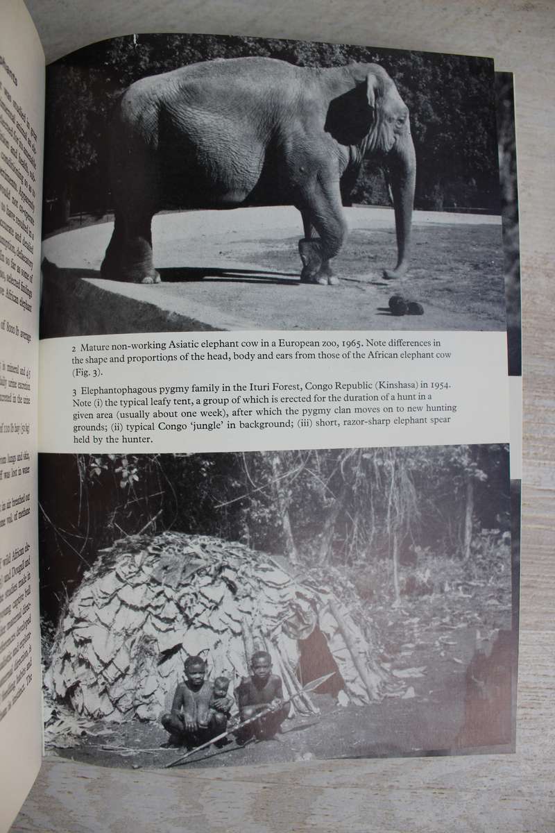 The Natural History of the African Elephant . Sylvia Sikes