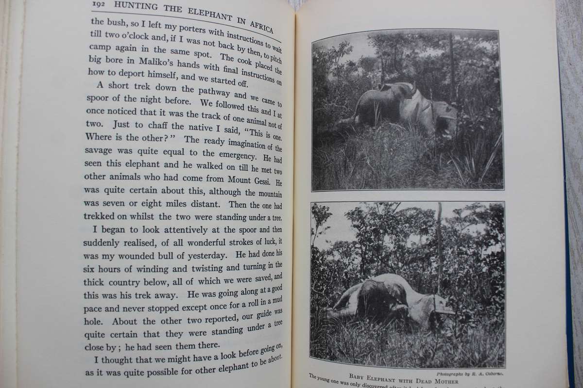 Hunting the Elephant in Africa - Stigand - by Peter Capstick