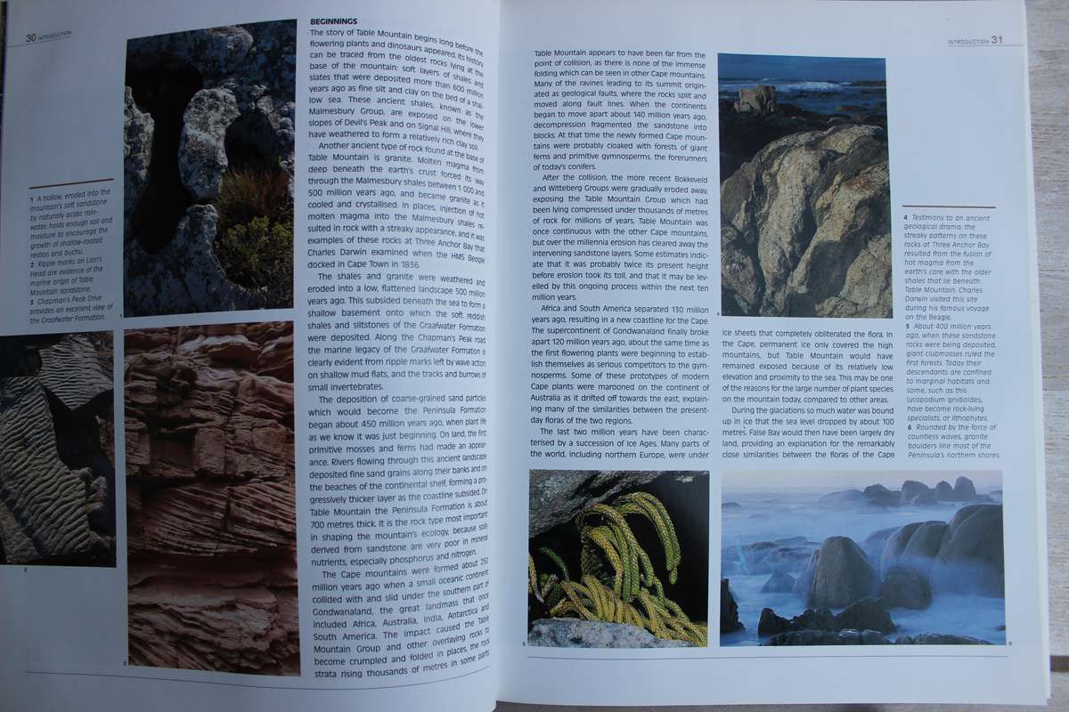 Table Mountain A natural History by Anton Pauw and Steven Johnson