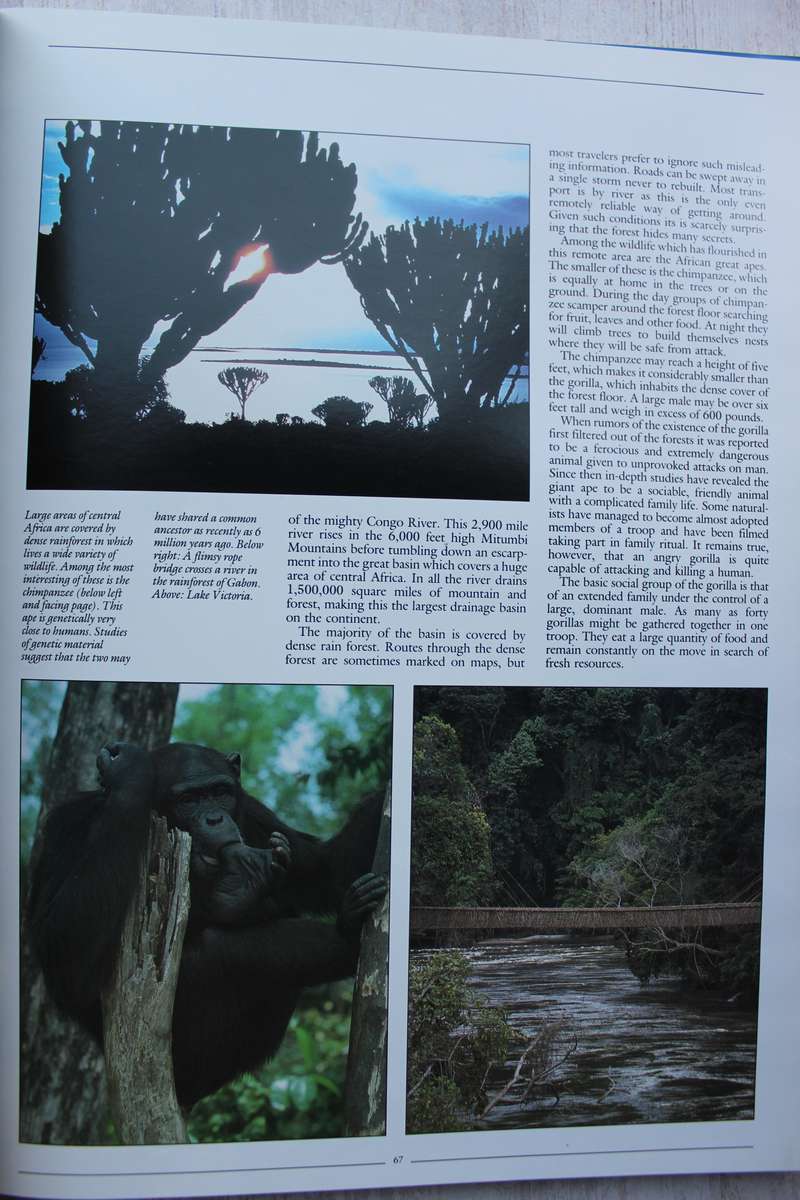 Africa the Mighty Continent / Matthews