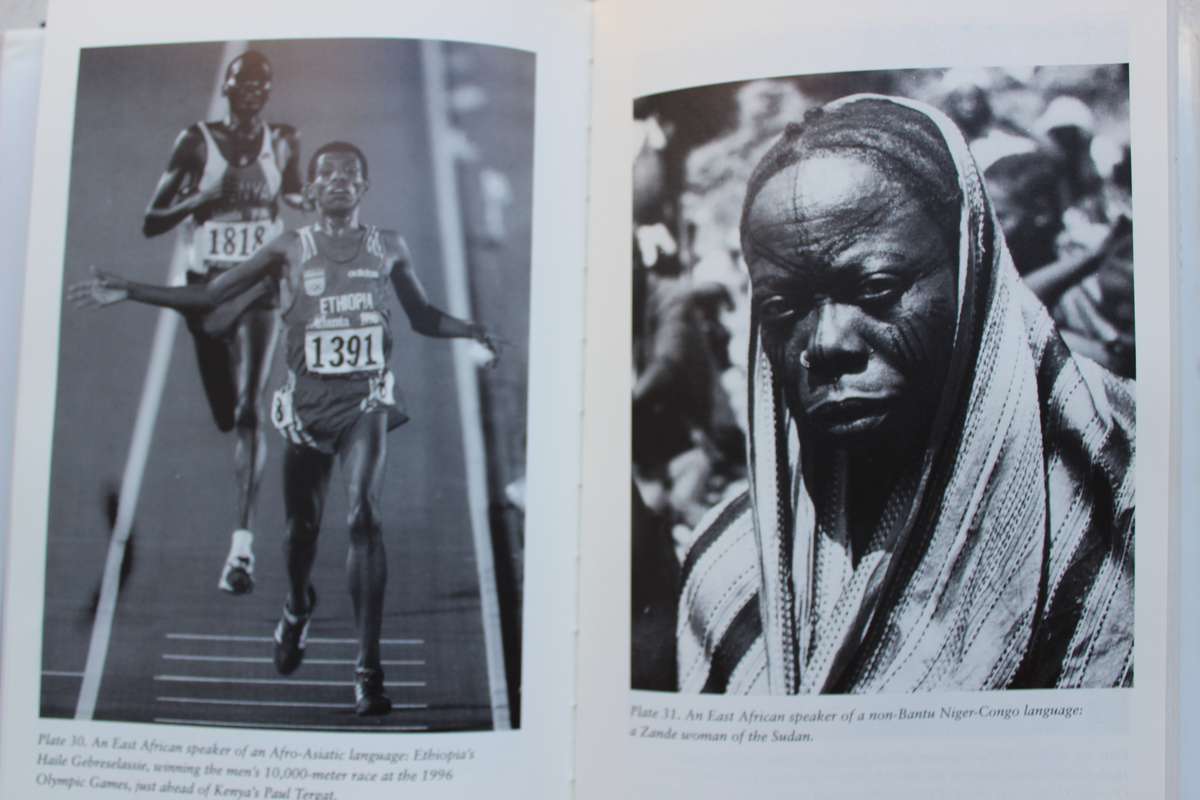 Guns, Germs and Steel - Jared M. Diamond