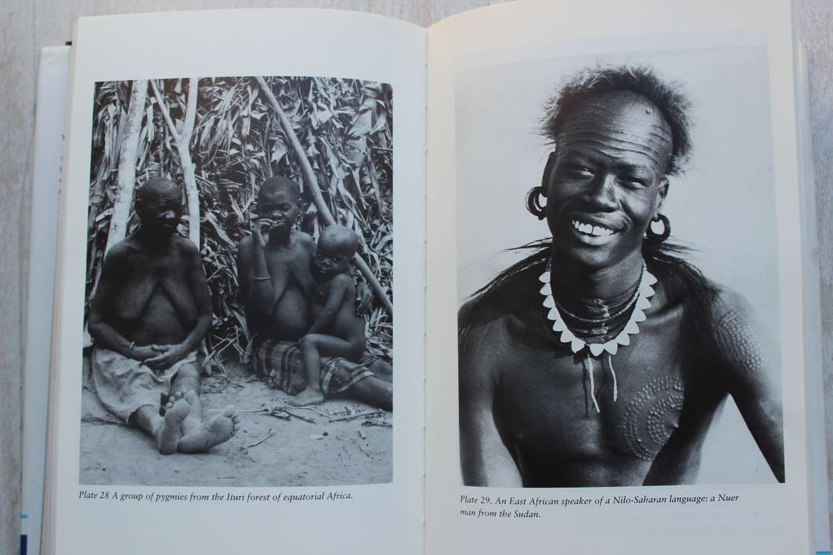 Guns, Germs and Steel - Jared M. Diamond