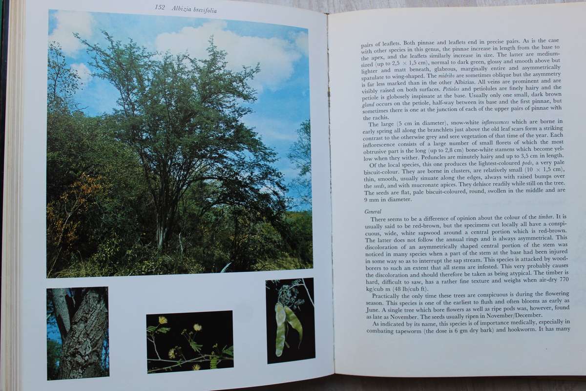 Trees of the Kruger National Park Volume I By: P. van Wyk
