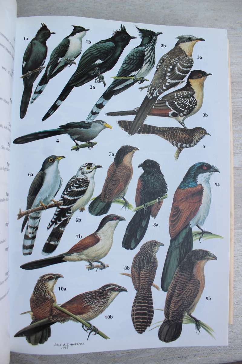 Birds of Kenya and Northern Tanzania