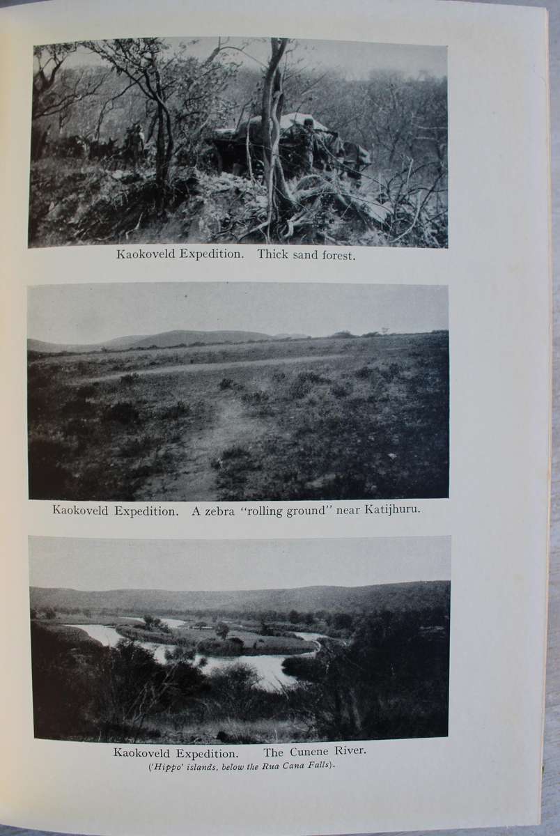 The Mammals of South West Africa - By Captain G.C. Shortridge