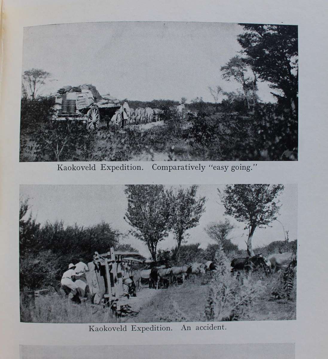 The Mammals of South West Africa - By Captain G.C. Shortridge