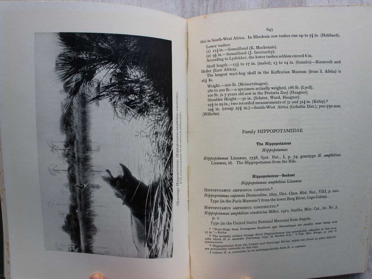 The Mammals of South West Africa - By Captain G.C. Shortridge