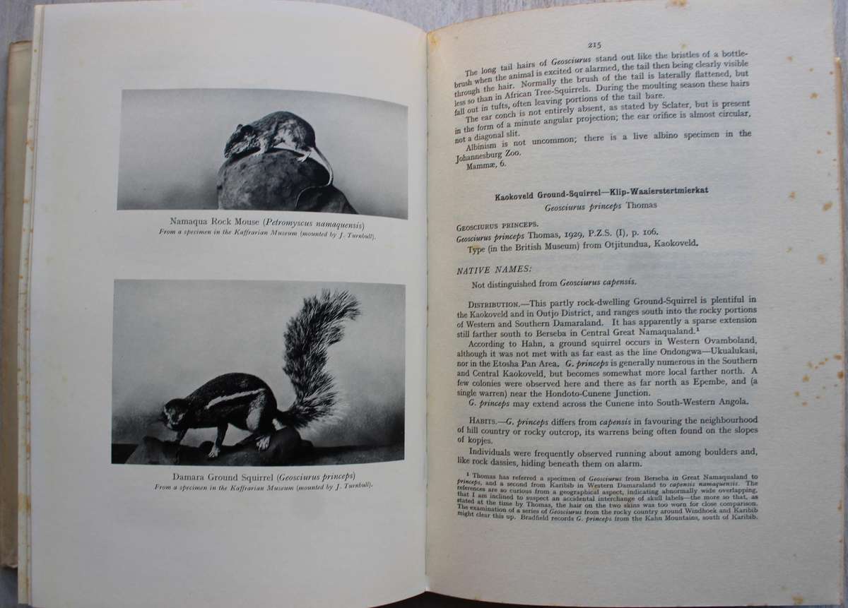 The Mammals of South West Africa - By Captain G.C. Shortridge