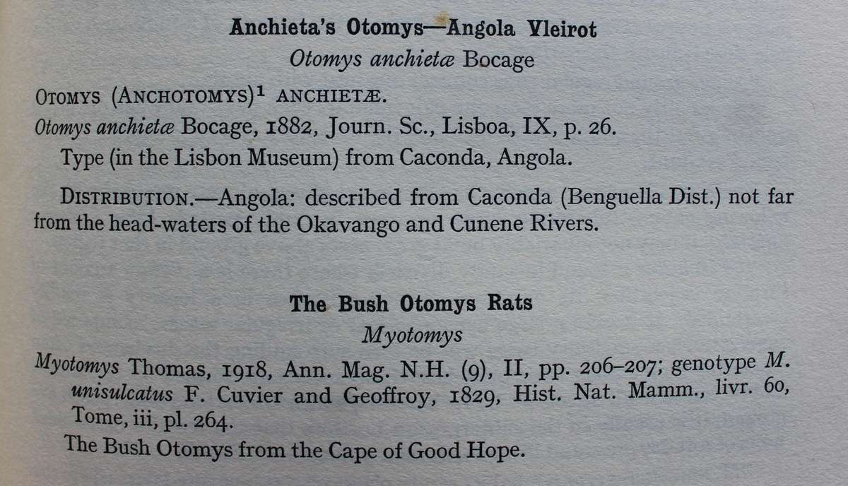 The Mammals of South West Africa - By Captain G.C. Shortridge