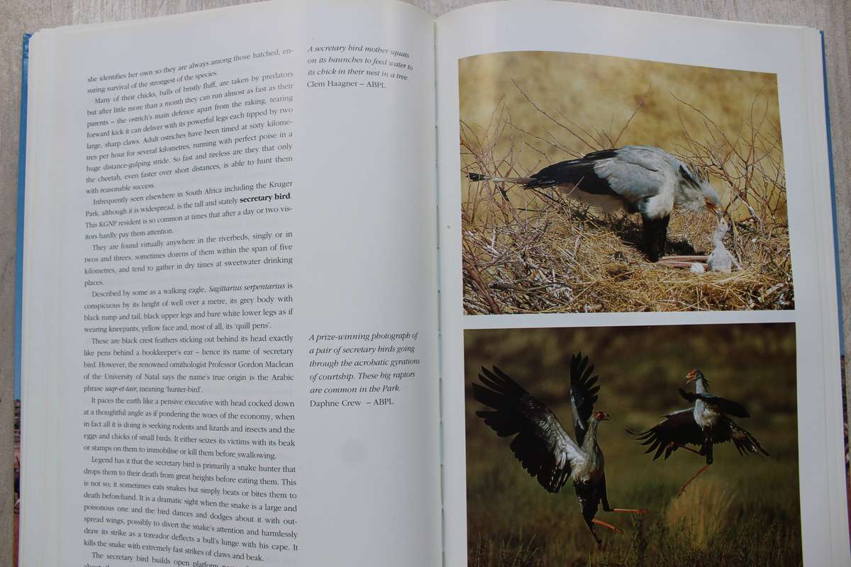 The Crowded Desert -- The Kalahari Gemsbok National Park -- Wilf Nussey