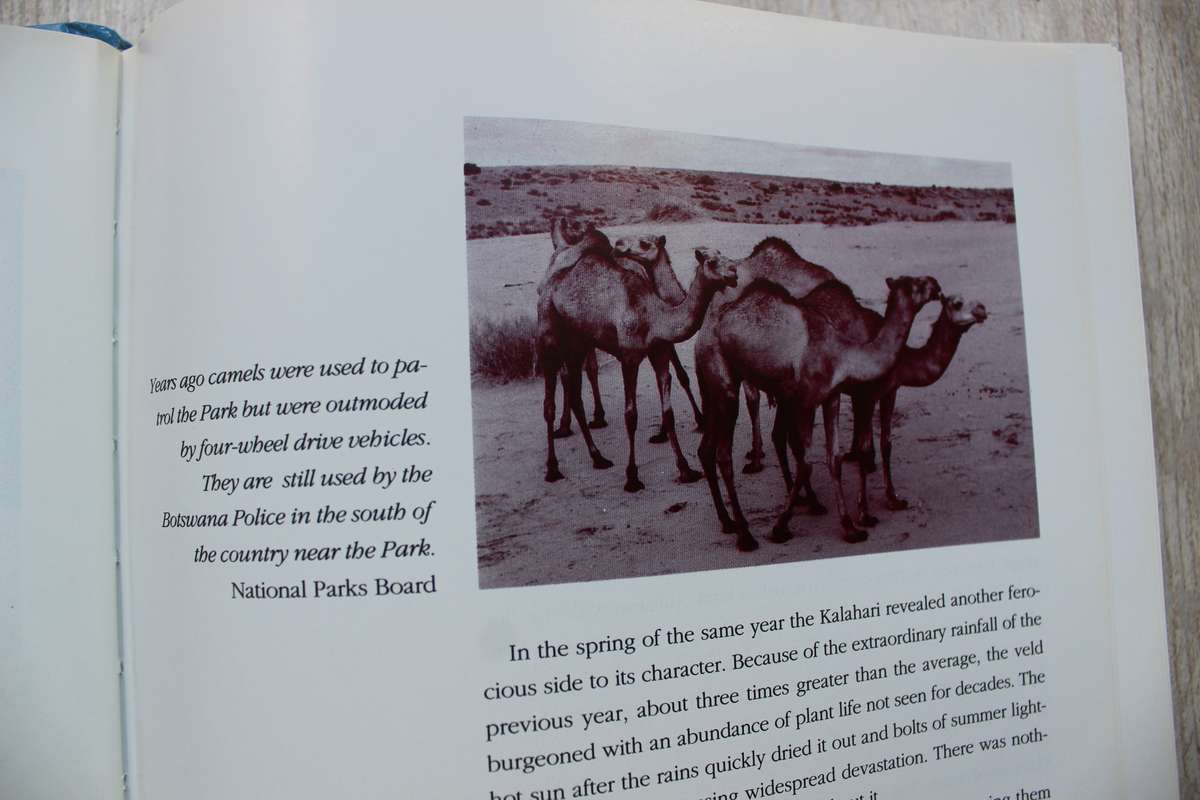 The Crowded Desert -- The Kalahari Gemsbok National Park -- Wilf Nussey