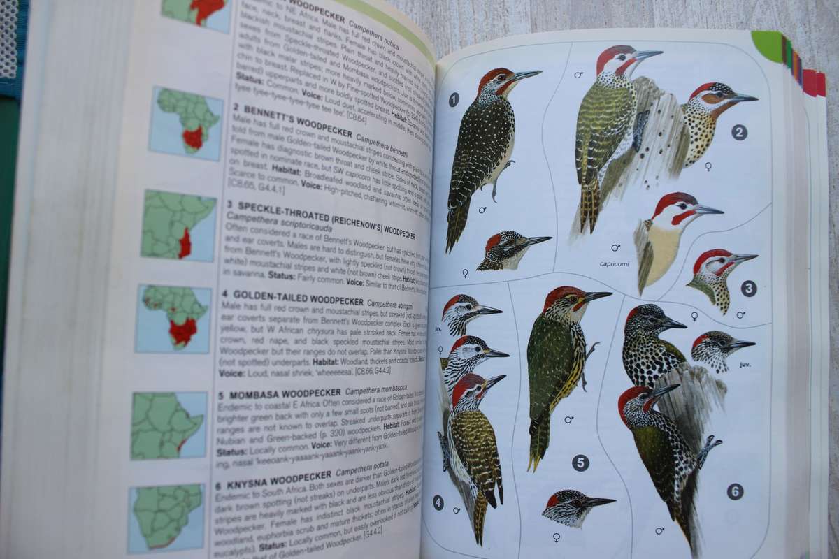A comprehensive illustrated field guide - Birds of Africa south of the Sahara / Sinclair & Ryan