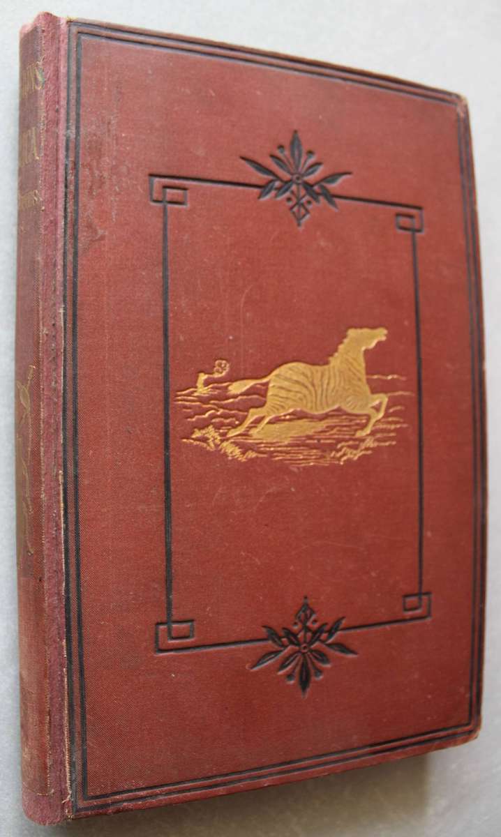 The Gold Regions of South Eastern Africa - Thomas Baines